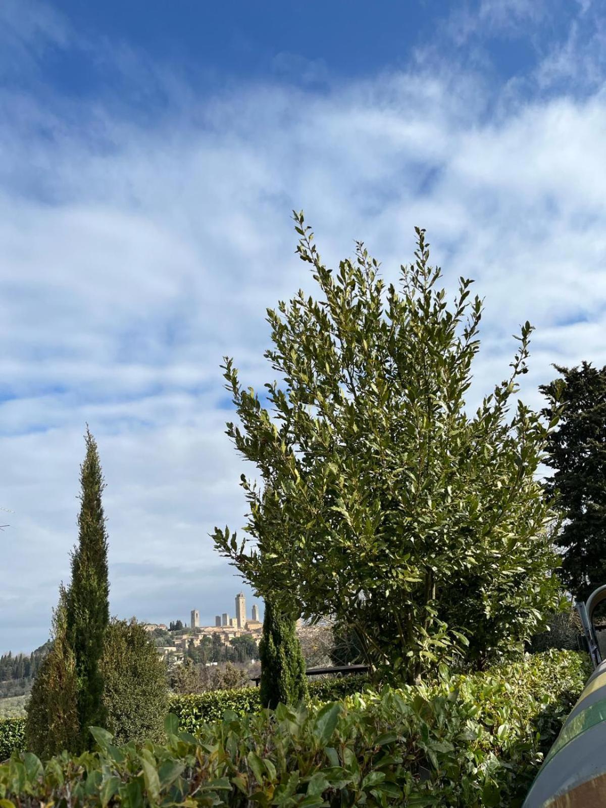 Apartamento La Casina Di Cinzia San Gimignano Exterior foto